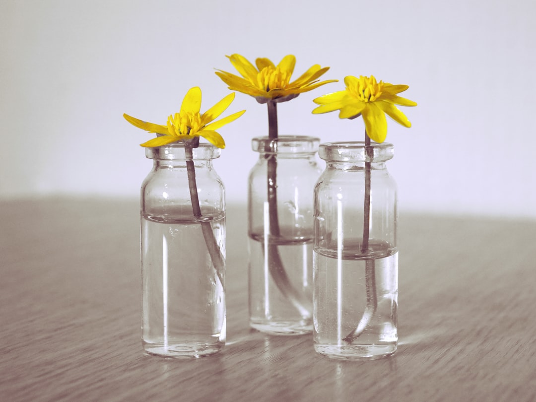 Photo glass jars